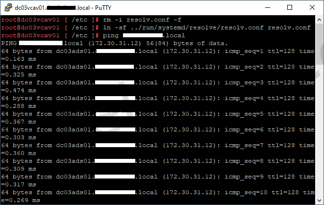 no dns resolution