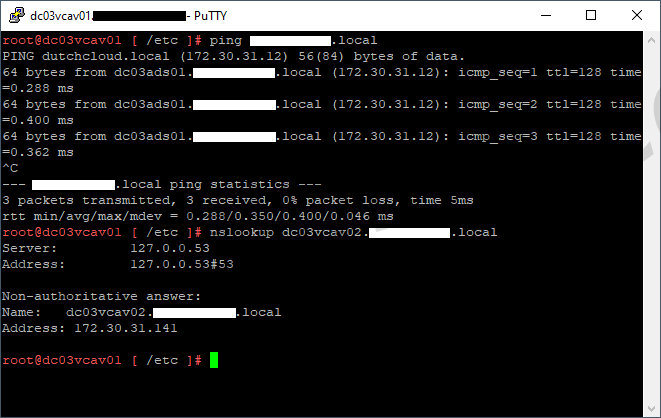 test dns resolution